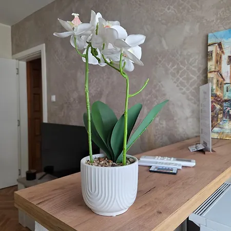 Stan Na Dan - Anika Apartament *