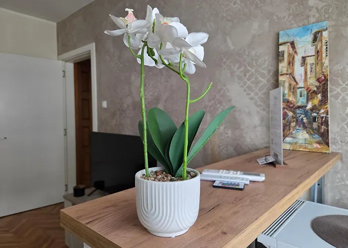 Stan Na Dan - Anika Apartament *